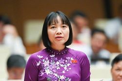 ĐBQH: Bồi dưỡng nhân tài là nhiệm vụ chung, không phải chỉ riêng một trường