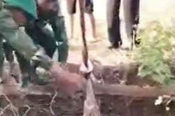 Đắk Lắk: Cứu người phụ nữ 52 tuổi sau 2 ngày rơi xuống giếng