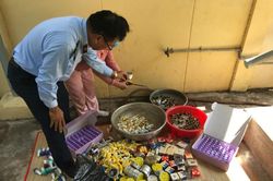 Tiền Giang: Tiêu hủy 700 sản phẩm kem dưỡng trắng da, vuốt tóc