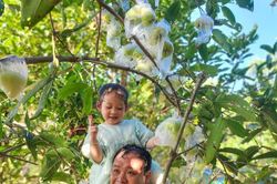 Vun đắp yêu thương từ mê làm vườn