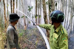 Chủ tịch UBND tỉnh chỉ đạo điều tra vụ cháy rừng