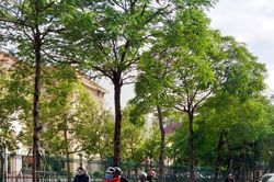 Dự báo thời tiết Hà Nội hôm nay 4/4/2024: Hà Nội không mưa, ngày nắng