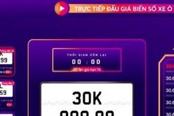 Đấu giá lần 2, biển số xe từng được trả hơn 75 tỷ đồng giảm giá sâu