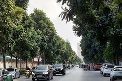 Dự báo thời tiết Hà Nội hôm nay 12/4/2024: Hà Nội nắng nóng, tăng nhiệt