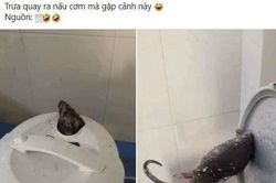 Mở nồi định nấu cơm, cô gái phát hiện cảnh kinh dị, dân mạng than: 'Ôi nghĩ thôi cũng đủ rùng mình, lạnh sống lưng'