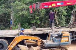 Lấn chiếm đất rừng trên đảo Phú Quốc vẫn còn phức tạp