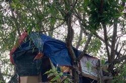 Bóc mẽ chiêu trò ngụy trang lán trại trên cây để bán ma túy