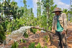Nắng nóng vượt mốc lịch sử và những cảnh báo thiên tai bất thường tại Đắk Lắk