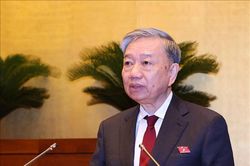 Tội phạm sử dụng súng tự chế, dao gây án đang diễn biến rất phức tạp