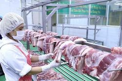Giá thịt lợn, giá điện sinh hoạt tăng khiến chỉ số giá tiêu dùng tháng 5 tăng 0,05%
