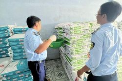 Kiên Giang: Tháng 5 phát hiện 33 vụ vi phạm, thu nộp ngân sách gần 1,5 tỷ đồng