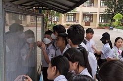Tp.HCM: Hơn 98.000 thí sinh làm thủ tục dự thi vào lớp 10