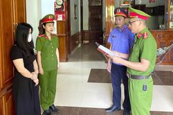 Khởi tố nữ giám đốc trốn thuế gần 7 tỷ đồng ở Quảng Bình
