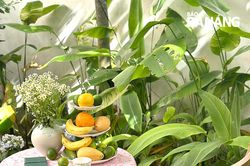 The Bloom Garden - khu vườn hoa nở