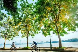Dự báo thời tiết ngày 10/7/2024: Hà Nội nắng nóng diện rộng, vượt 40 độ C