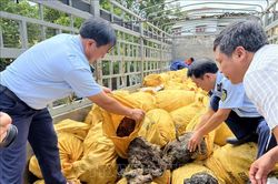 Thu giữ 11 tấn mỡ động vật đang có dấu hiệu phân hủy, không rõ nguồn gốc