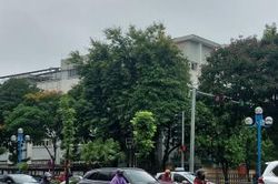 Dự báo thời tiết hôm nay ngày 19/8/2024: Bắc Bộ tiếp tục mưa rào và dông, có nơi mưa đến rất to
