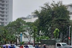 Dự báo thời tiết hôm nay ngày 25/8/2024: Mưa lớn diện rộng, đề phòng ngập úng, lũ quét, sạt lở đất