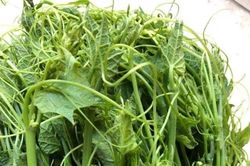 Đây chính là 'vua rửa ruột': Ăn một lần mỗi ngày, bụng xẹp, da trắng mịn, eo thon chân gọn!