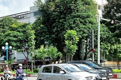 Dự báo thời tiết ngày mai 5/10/2024: Bắc Bộ, Thanh Hóa ngày nắng, vùng núi vẫn rét;Tây Nguyên, Nam Bộ có mưa