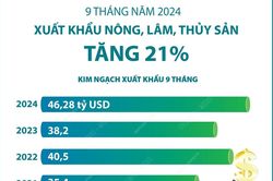 9 tháng năm 2024: Xuất khẩu nông, lâm, thủy sản tăng 21%