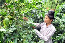Nông thôn mới là động lực phát triển