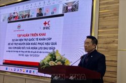 Triển khai dự án hỗ trợ 50.000 người dân vượt qua khó khăn sau bão số 3