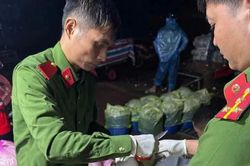 Phát hiện một cơ sở dùng hóa chất sản xuất giá đỗ ở Quảng Ngãi