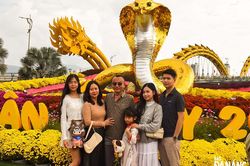 Tấp nập du khách tham quan đường hoa Bạch Đằng