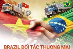 Infographic | Brazil là đối tác thương mại hàng đầu của Việt Nam tại Mỹ Latinh