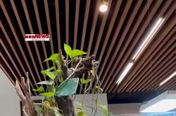 Động đất ở Hà Nội, TP.HCM, nhiều nhà cao tầng rung lắc mạnh