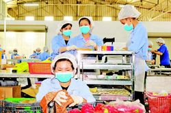 Chặn đà suy giảm xuất khẩu rau quả