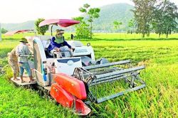 Phát triển nông nghiệp xanh và chuỗi liên kết: Hướng đi tất yếu trong bối cảnh biến đổi khí hậu