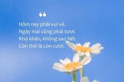 Nếu một ngày bạn mệt mỏi…