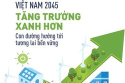 Tăng trưởng xanh - lựa chọn chiến lược để Việt Nam vững bước tới Net Zero