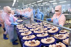 Xuất khẩu thủy sản đẩy mạnh chiến lược đa dạng hóa