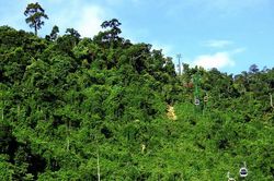 Quan tâm công tác bảo tồn đa dạng sinh học