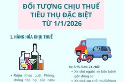 (Infographic) Những đối tượng chịu thuế tiêu thụ đặc biệt từ 1/1/2026