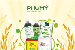 PVFCCo – Phú Mỹ ra mắt Hữu cơ Phú Mỹ Organic, hoàn thiện 'Bộ ba vàng' dinh dưỡng cho nông nghiệp bền vững