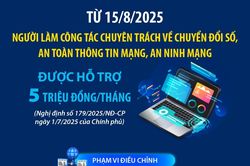 Người làm công tác chuyên trách về chuyển đổi số được hỗ trợ 5 triệu đồng/tháng