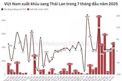 Xăng dầu nhập từ Thái Lan giảm mạnh về lượng và kim ngạch