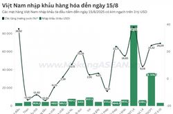 Kim ngạch nhập khẩu của Việt Nam tăng hơn 18% sau gần 8 tháng