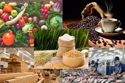 Việt Nam thu về hơn 52,3 tỷ USD từ xuất khẩu nông, lâm, thủy sản trong 9 tháng