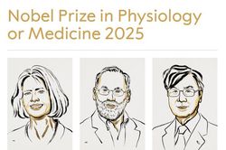 Giải Nobel Y sinh 2025 vinh danh 3 nhà khoa học về hệ miễn dịch tự kiểm soát