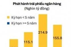 Ngân hàng đẩy mạnh phát hành trái phiếu trước áp lực từ chuẩn CAR mới