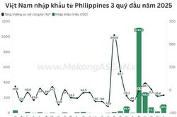 Một mặt hàng nhập khẩu từ Philippines đạt kim ngạch tỷ USD