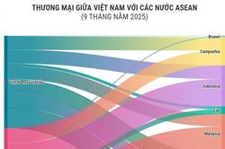 Kim ngạch thương mại giữa Việt Nam với các nước ASEAN