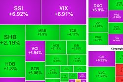 Bùng nổ trong phiên chiều, VN-Index tăng mạnh nhất trong một tháng