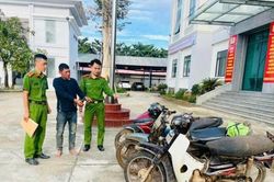 'Con nghiện' vào rừng kiếm ăn