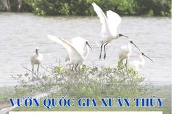Vườn Quốc gia Xuân Thủy - Vườn Di sản ASEAN đầu tiên khu vực miền Bắc